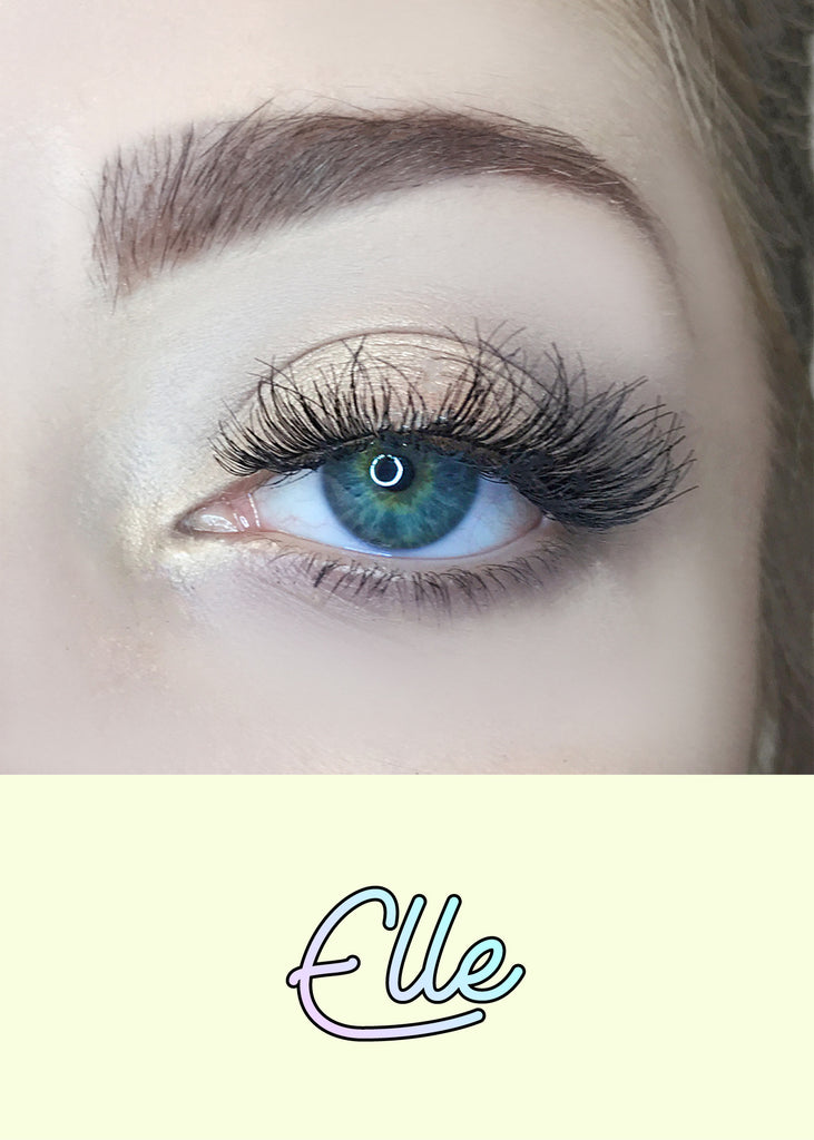 AOA Studio Eyelashes - Elle  COSMETICS - Shop Miss A