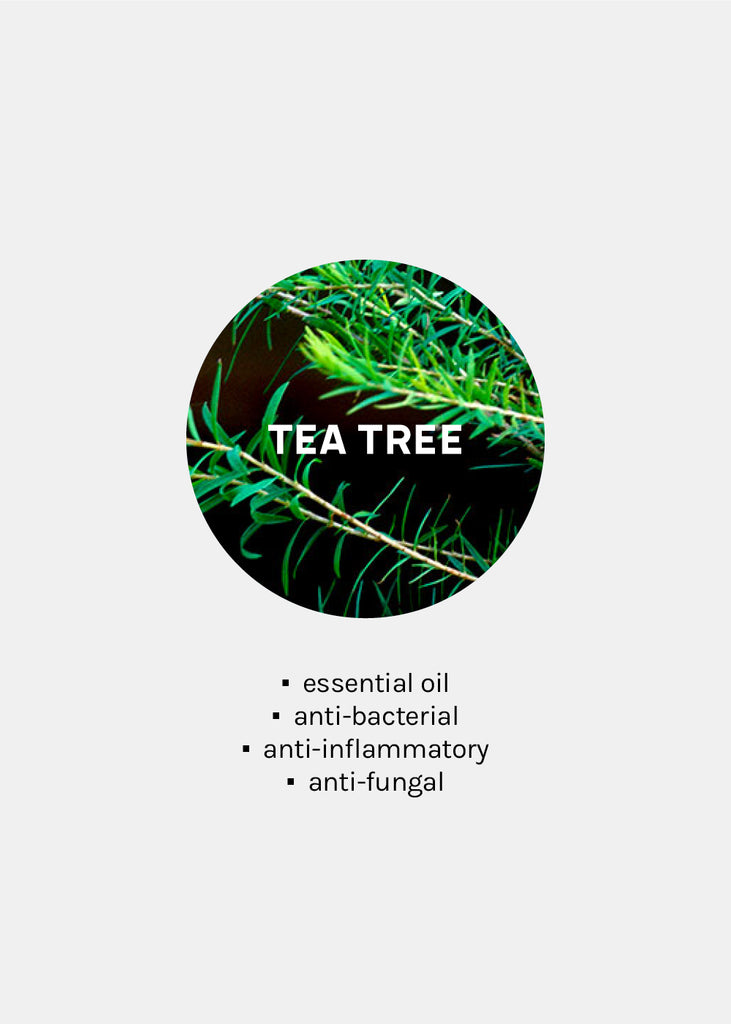 AOA 100% Essential Oils - Tea Tree  COSMETICS - Shop Miss A