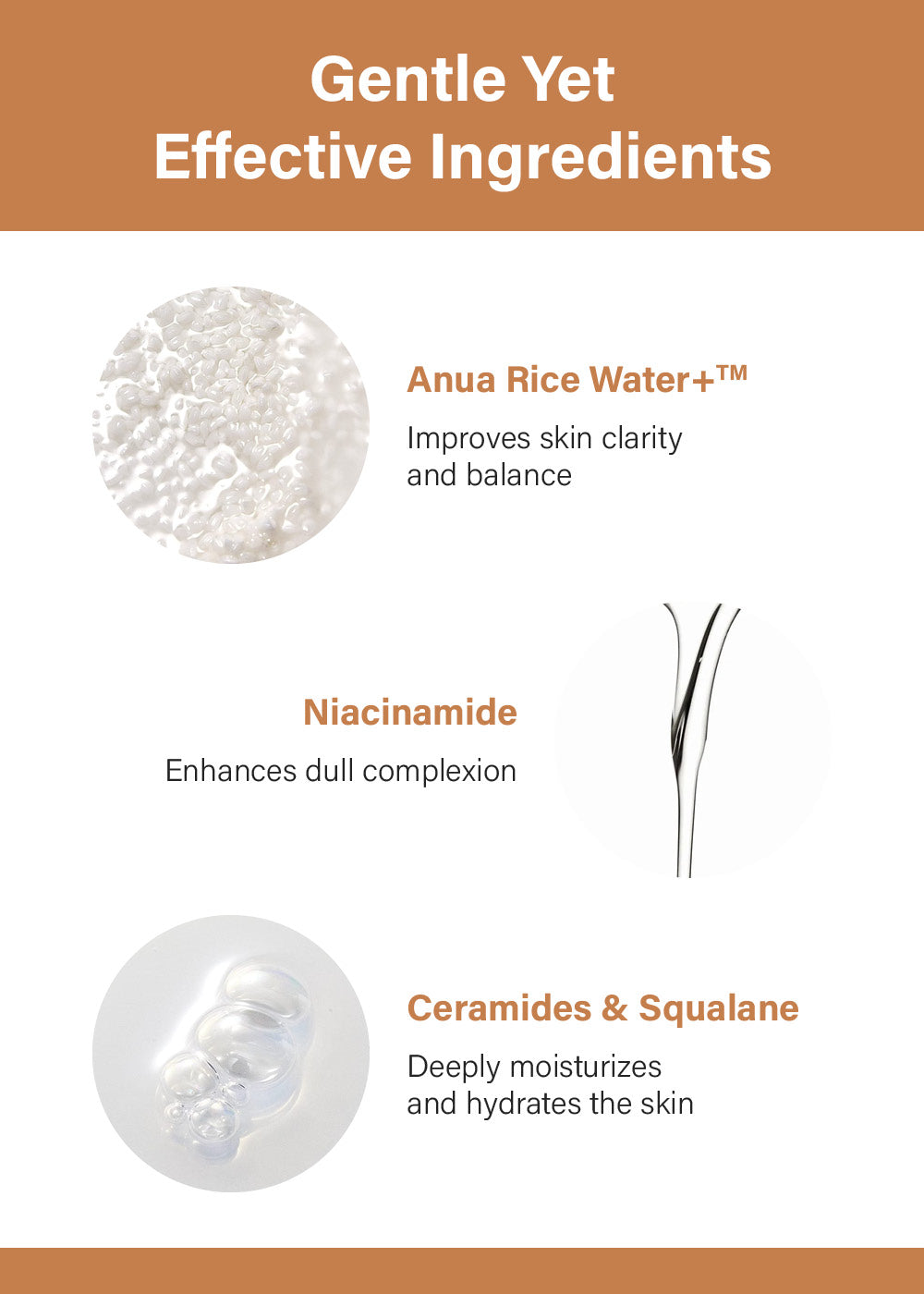 Anua Rice 70 Intensive Moisturizing Milk 150ml β Shop Miss A