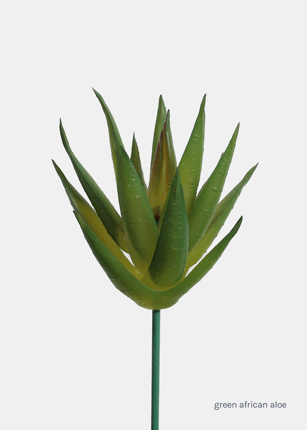 african succulents Official Key Items Artificial Succulents