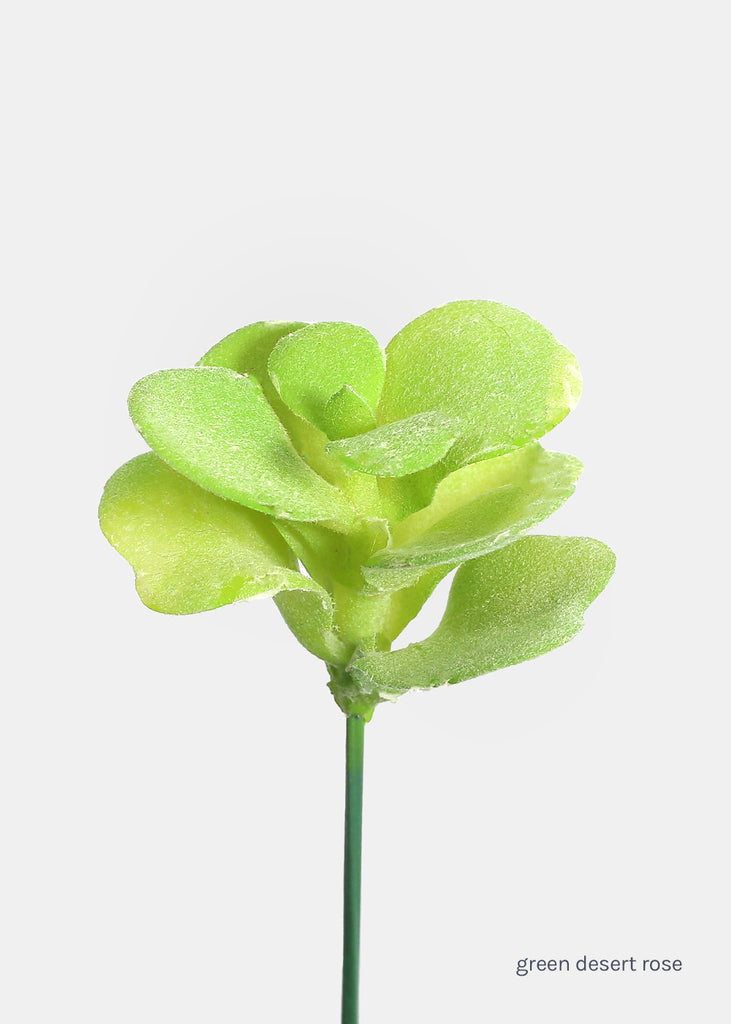 Official Key Items Artificial Succulents - Green Desert Rose  LIFE - Shop Miss A
