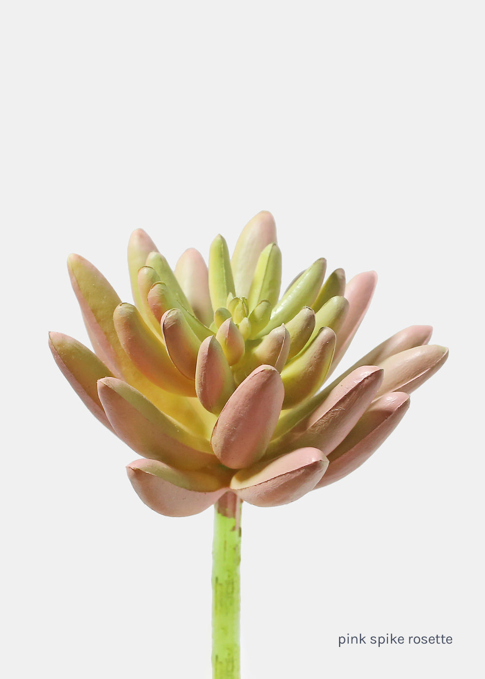 succulent spikes Official Key Items Artificial Succulents