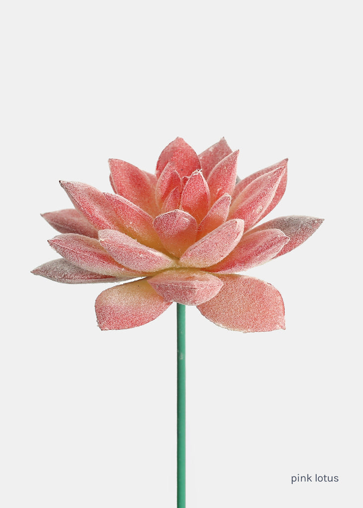 Official Key Items Artificial Succulents - Pink Lotus  LIFE - Shop Miss A