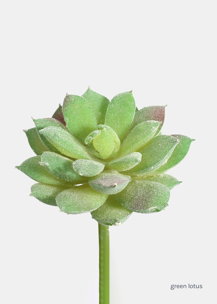 Official Key Items Artificial Succulents - Green Lotus  LIFE - Shop Miss A