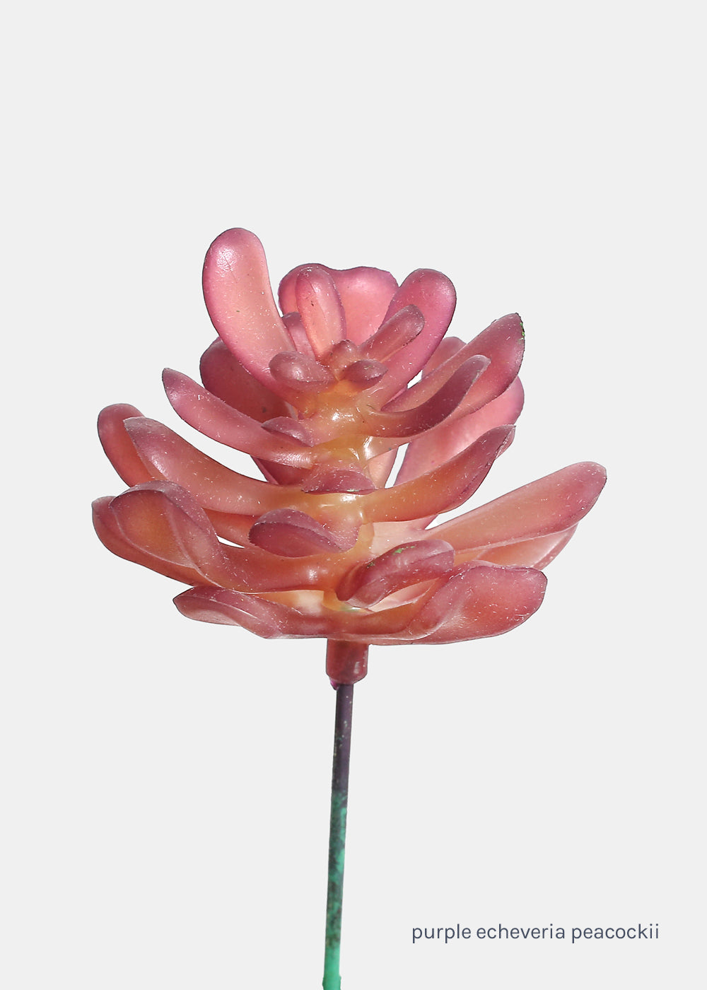 artificial purple succulents Official Key Items Artificial Succulents