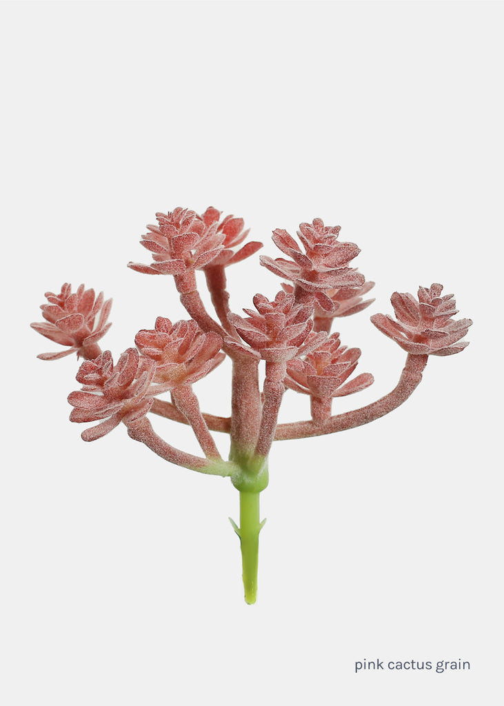 Official Key Items Artificial Succulents - Pink Cactus Grain  LIFE - Shop Miss A