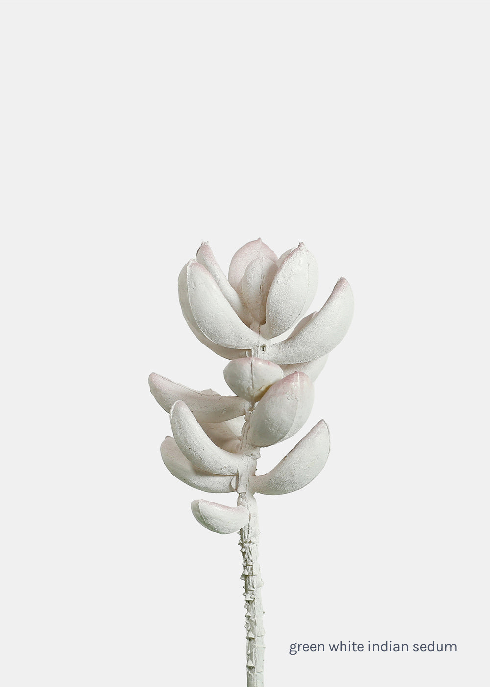 indian succulents Official Key Items Artificial Succulents