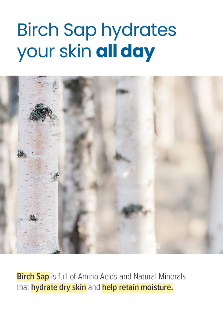 ROUND LAB Birch Juice Mild-Up UVLock Sunscreen 50ml Seoul Scandal - Shop Miss A