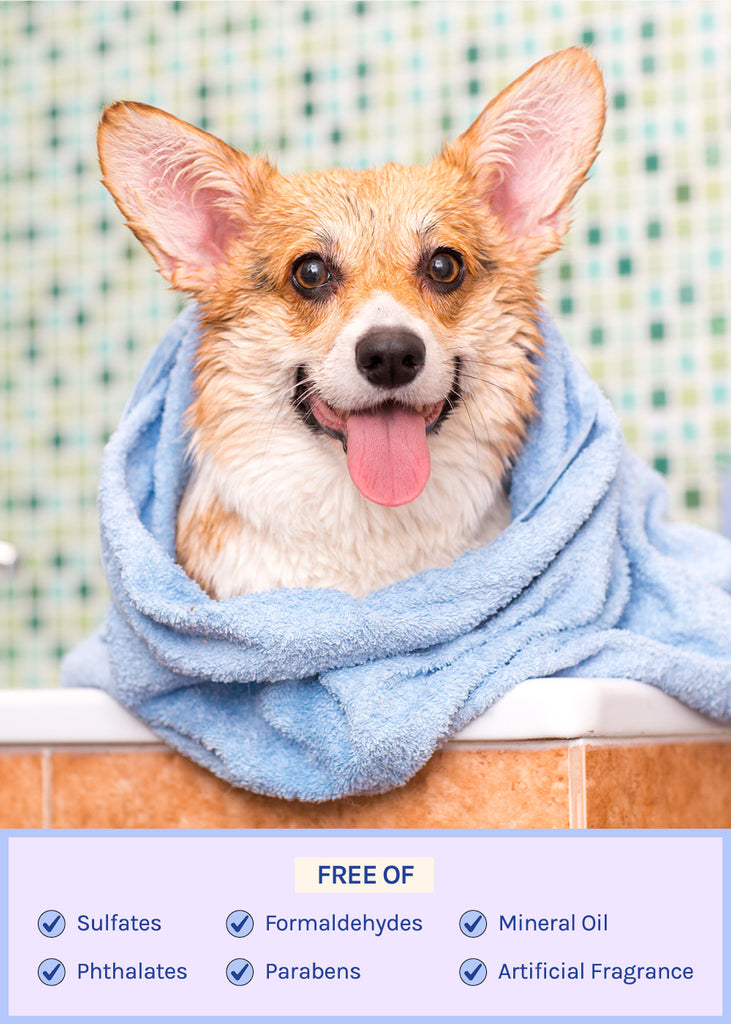 Natural Dog Shampoo  SALE - Shop Miss A
