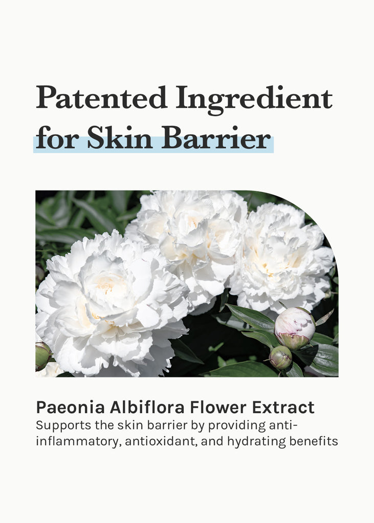 Dr. Althea 147 Barrier Cream 50ml Seoul Scandal - Shop Miss A