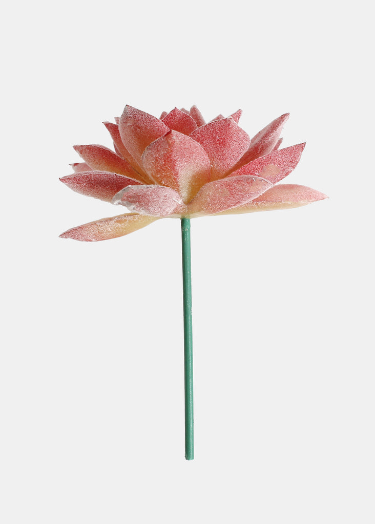 Official Key Items Artificial Succulents - Pink Lotus SALE - Shop Miss A