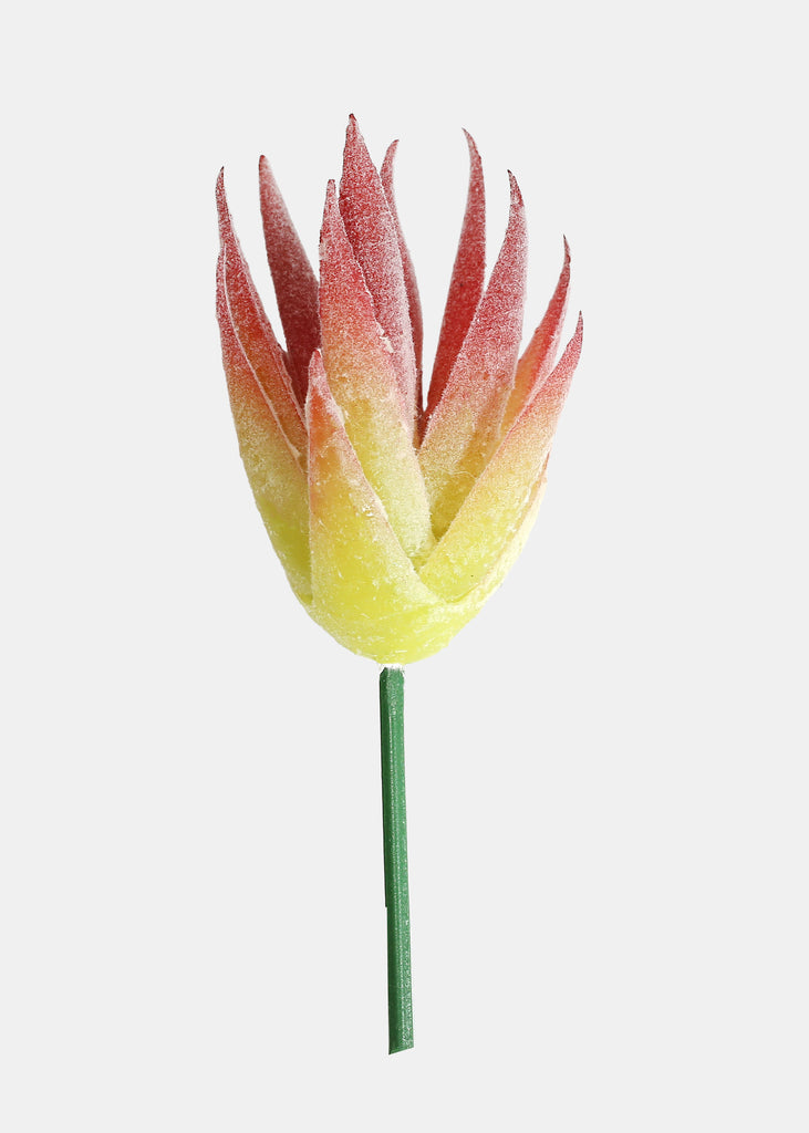 african succulents for sale Official Key Items Artificial Succulents