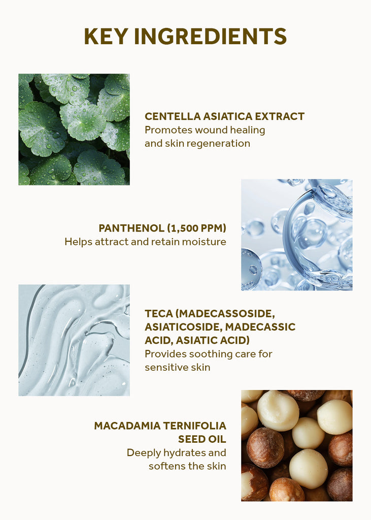 SKIN1004 Madagascar Centella Cream 75ml Seoul Scandal - Shop Miss A