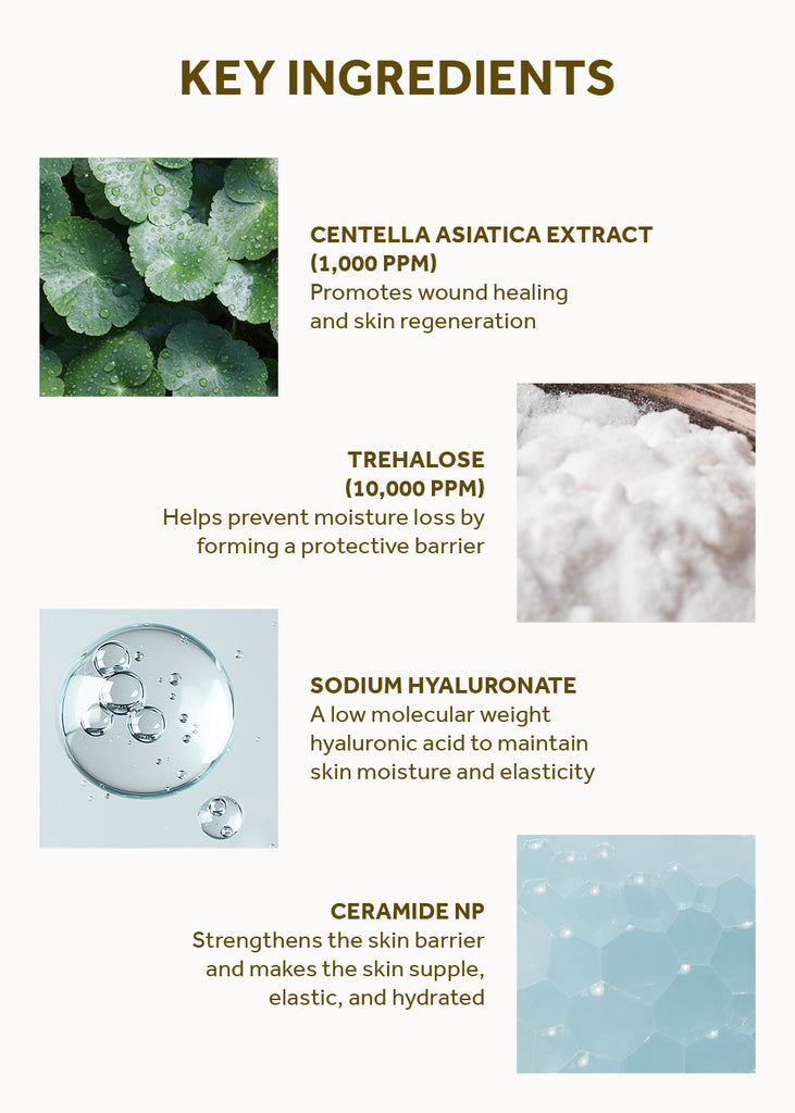 SKIN1004 Madagascar Centella Soothing Cream 75ml Seoul Scandal - Shop Miss A