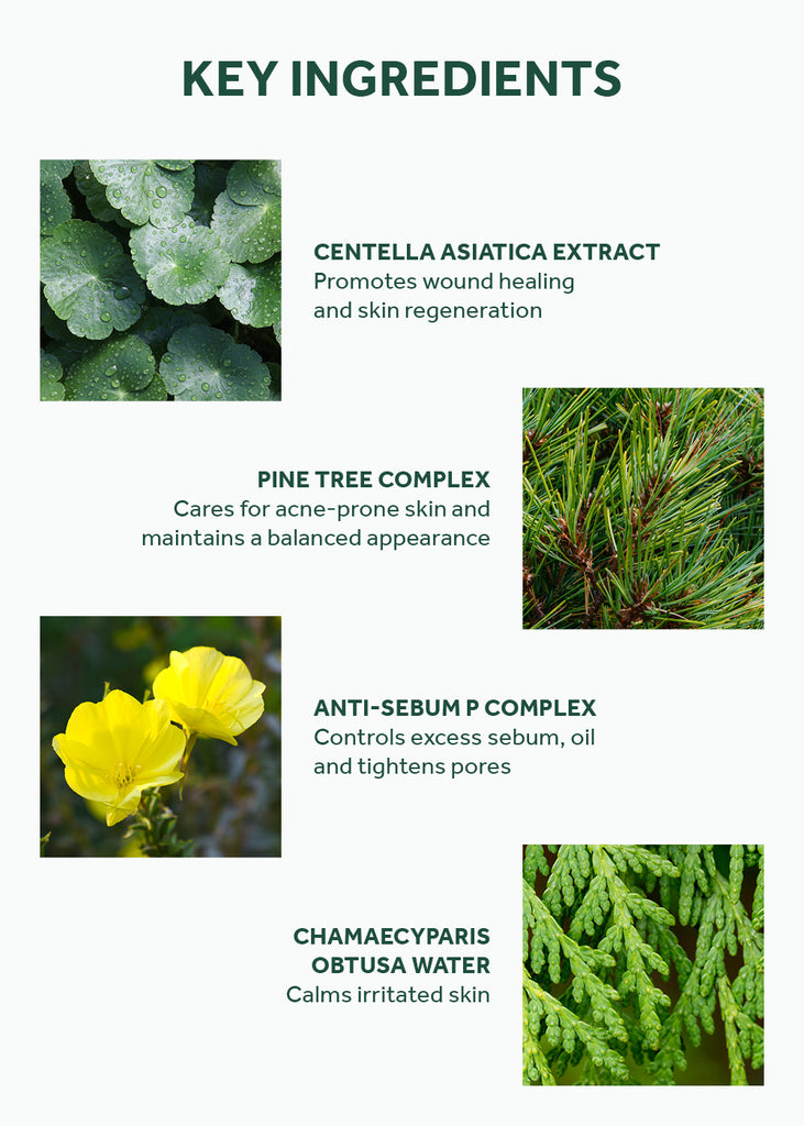 SKIN1004 Madagascar Centella Tea-Trica Relief Ampoule 100ml Seoul Scandal - Shop Miss A