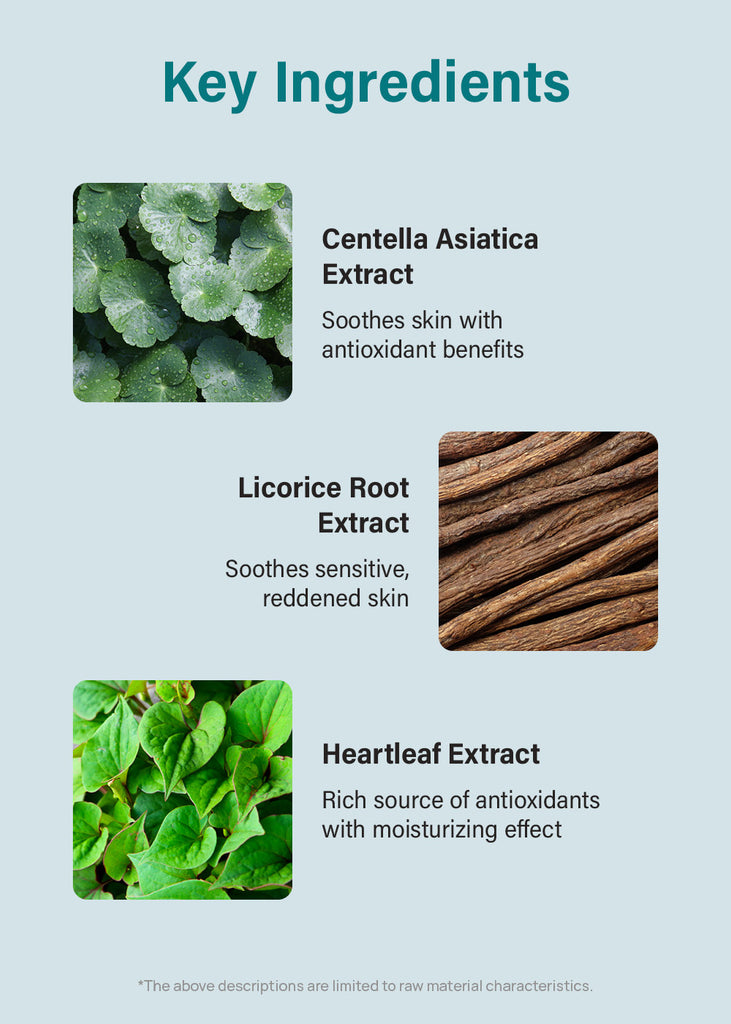 numbuzin No. 1 Pure-Full Calming Herb Toner 300ml Seoul Scandal - Shop Miss A