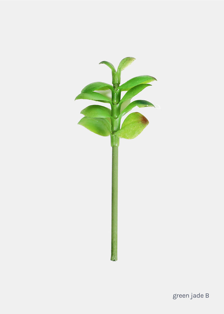Official Key Items Small Succulents Green Jade B LIFE - Shop Miss A
