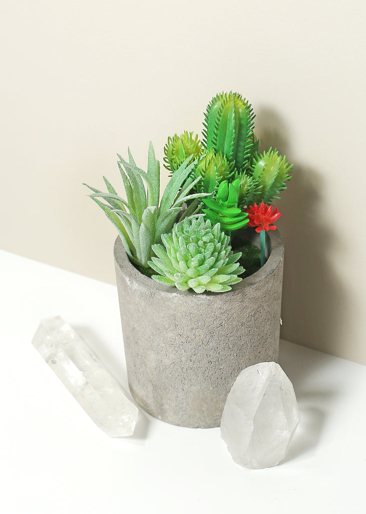 succulent for sale Official Key Items Small Succulents