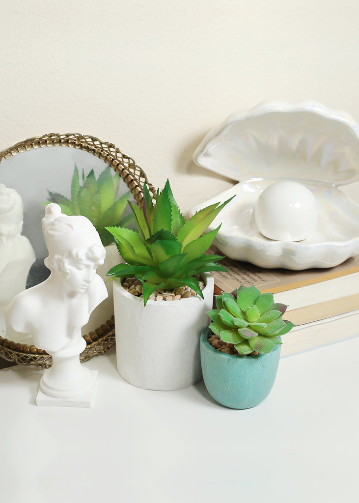 tiny succulents for sale Official Key Items Small Succulents – Shop Miss A