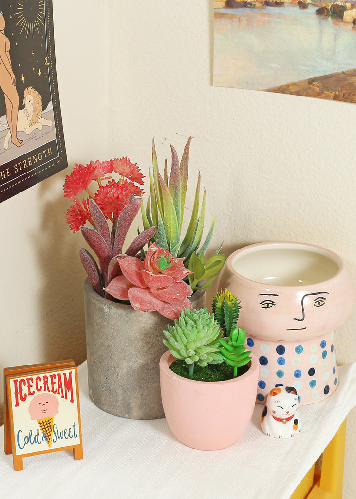 small succulents for sale Official Key Items Small Succulents – Shop Miss A