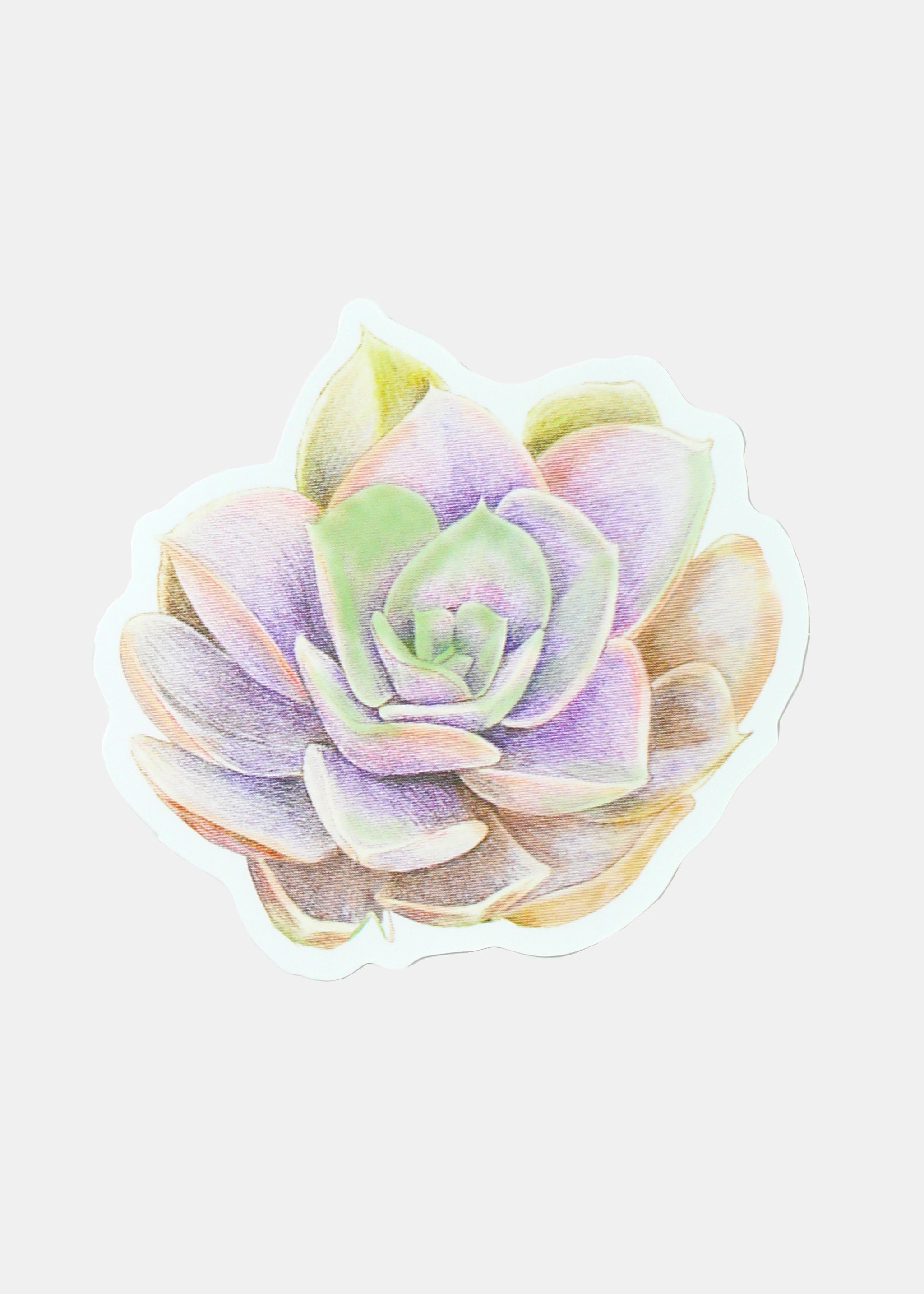 succulent plant stickers Official Key Items Sticker