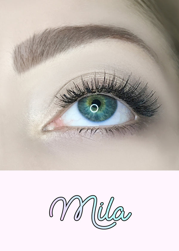 AOA Studio Eyelashes - Mila  COSMETICS - Shop Miss A